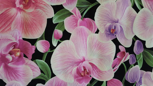 Orchid Fabric